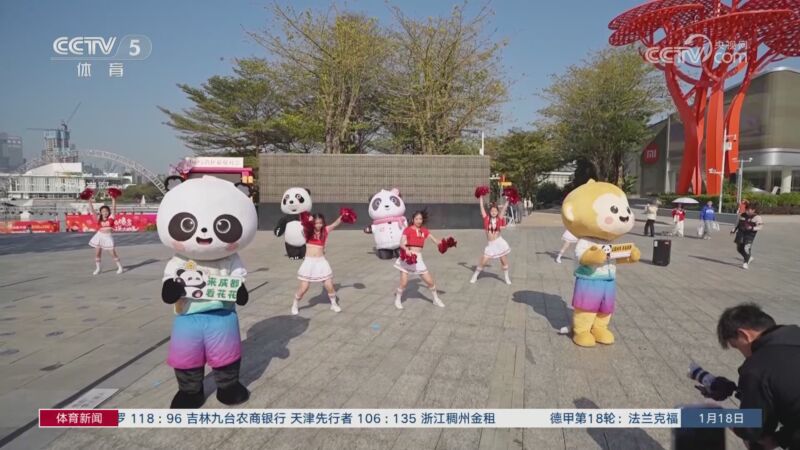 郑钦文的短